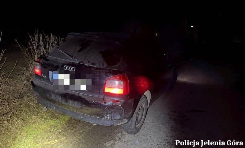 Pijany kierowca z zakazem uciekał przed policją. Zatrzymano także agresywnych pasażerów