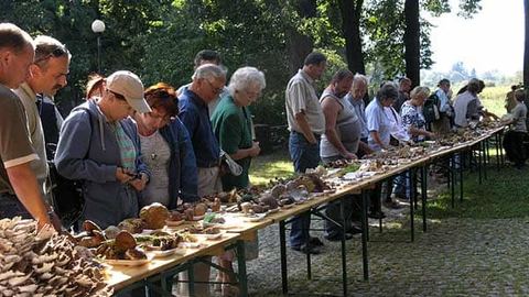 Większość była jadalna