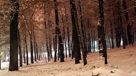 Śnieżyło nad Jelenią Górą