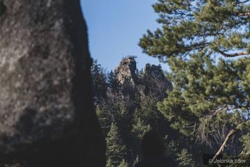 Wiosna w górach – Rudawy budzą się do życia