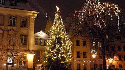 Choinkę - sztuczną czy prawdziwą?