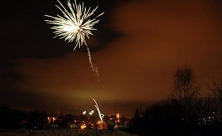 Jelonka przywitała Nowy Rok