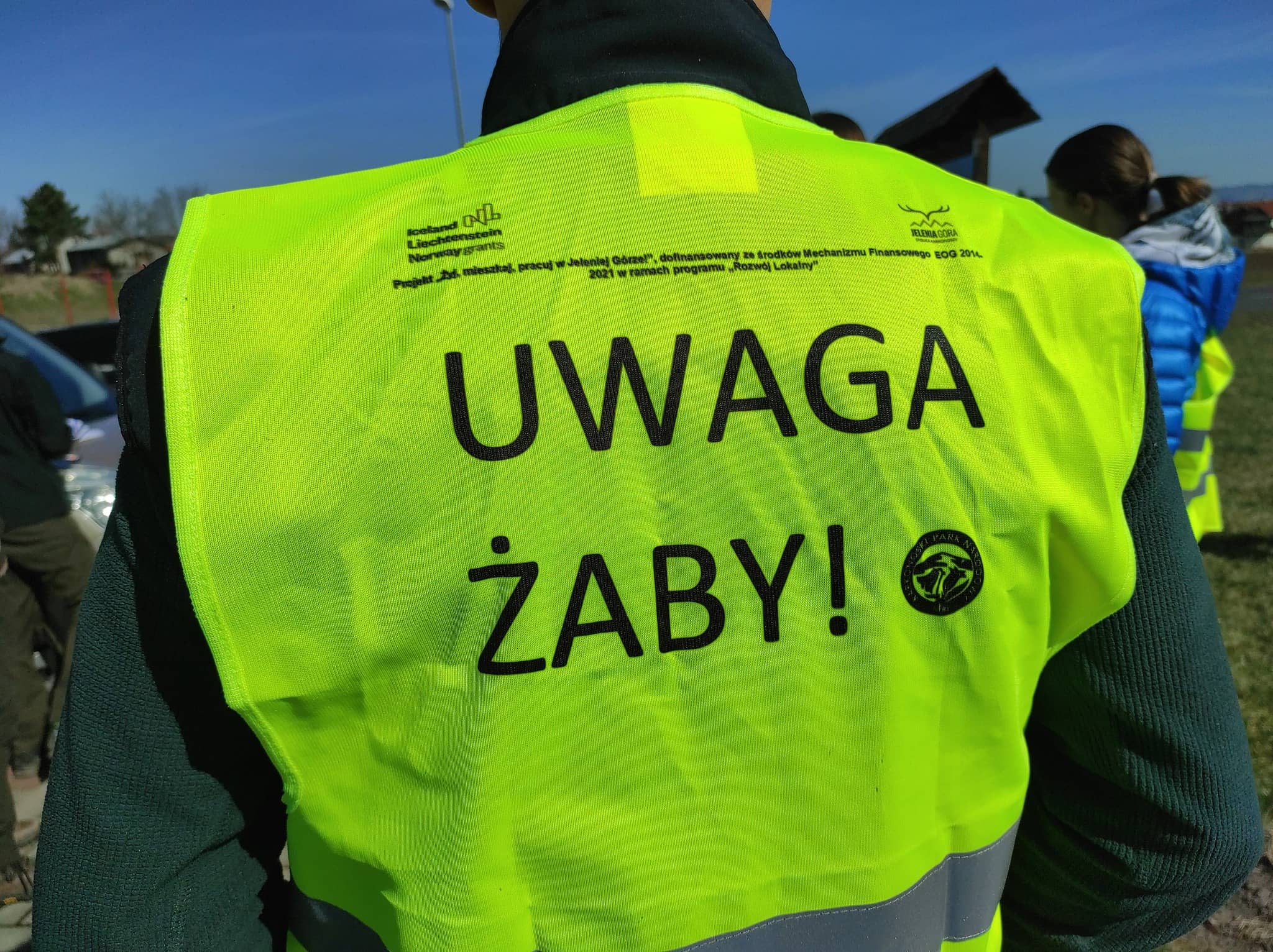 KNP szuka wolontariuszy do akcji ratowania żab
