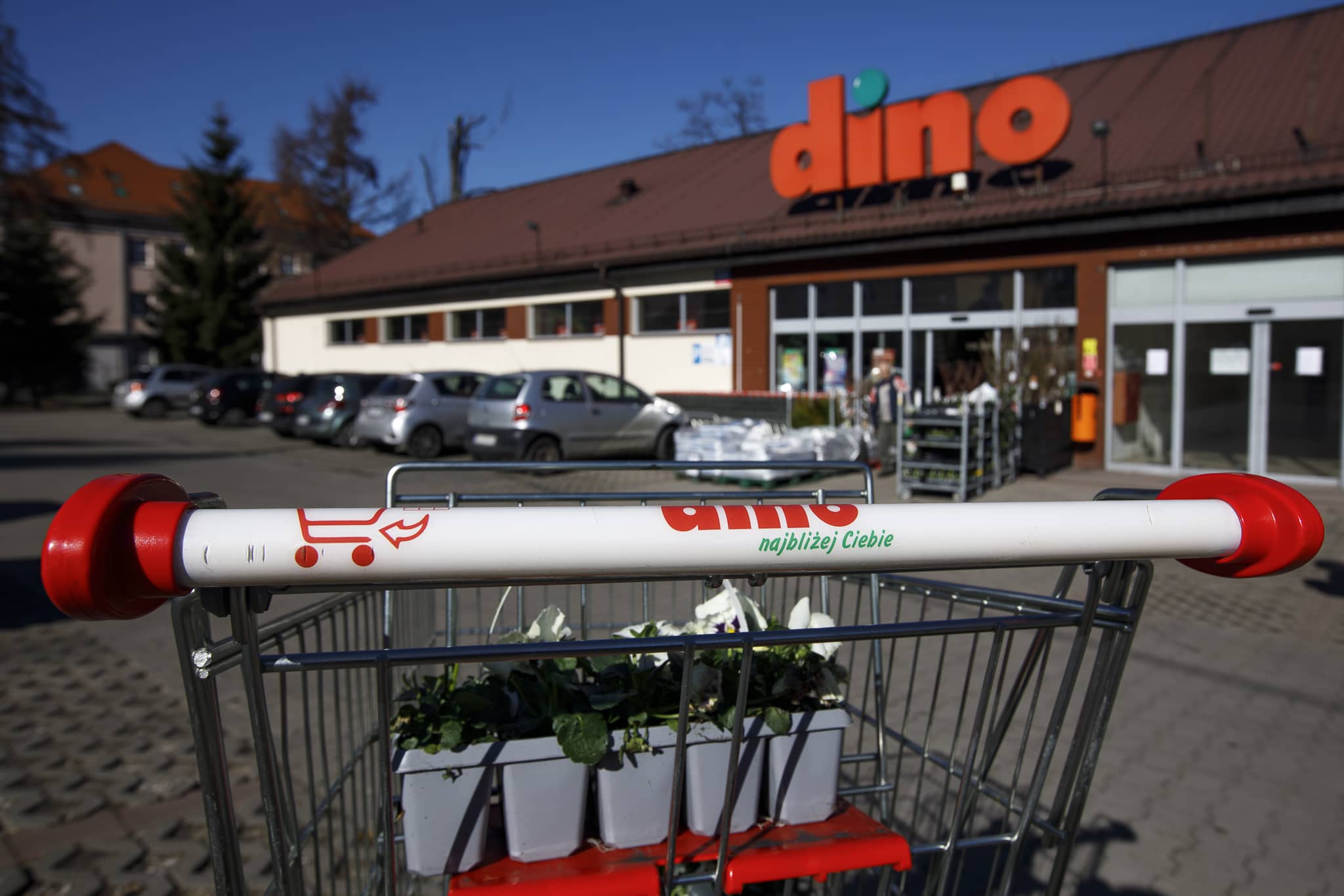 Czy będzie strajk w Dino?