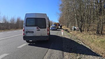 Poduszki wystrzeliły w lesie