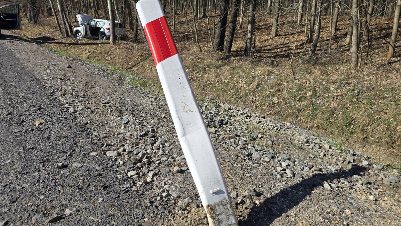 Poduszki wystrzeliły w lesie