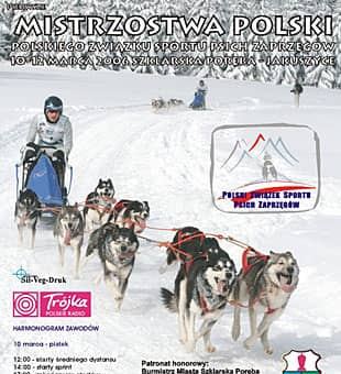 Śnieżne zmagania czworonogów