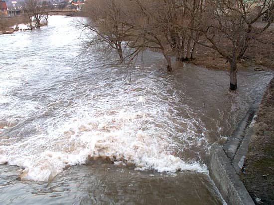 Bóbr postraszył