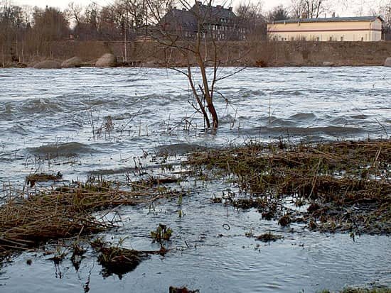 Bóbr postraszył