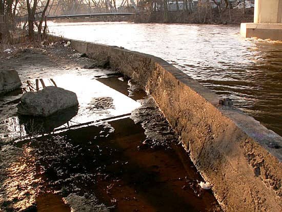 Bóbr postraszył
