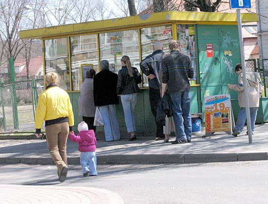 Szczęście w skorupce