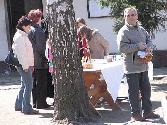 Szczęście w skorupce