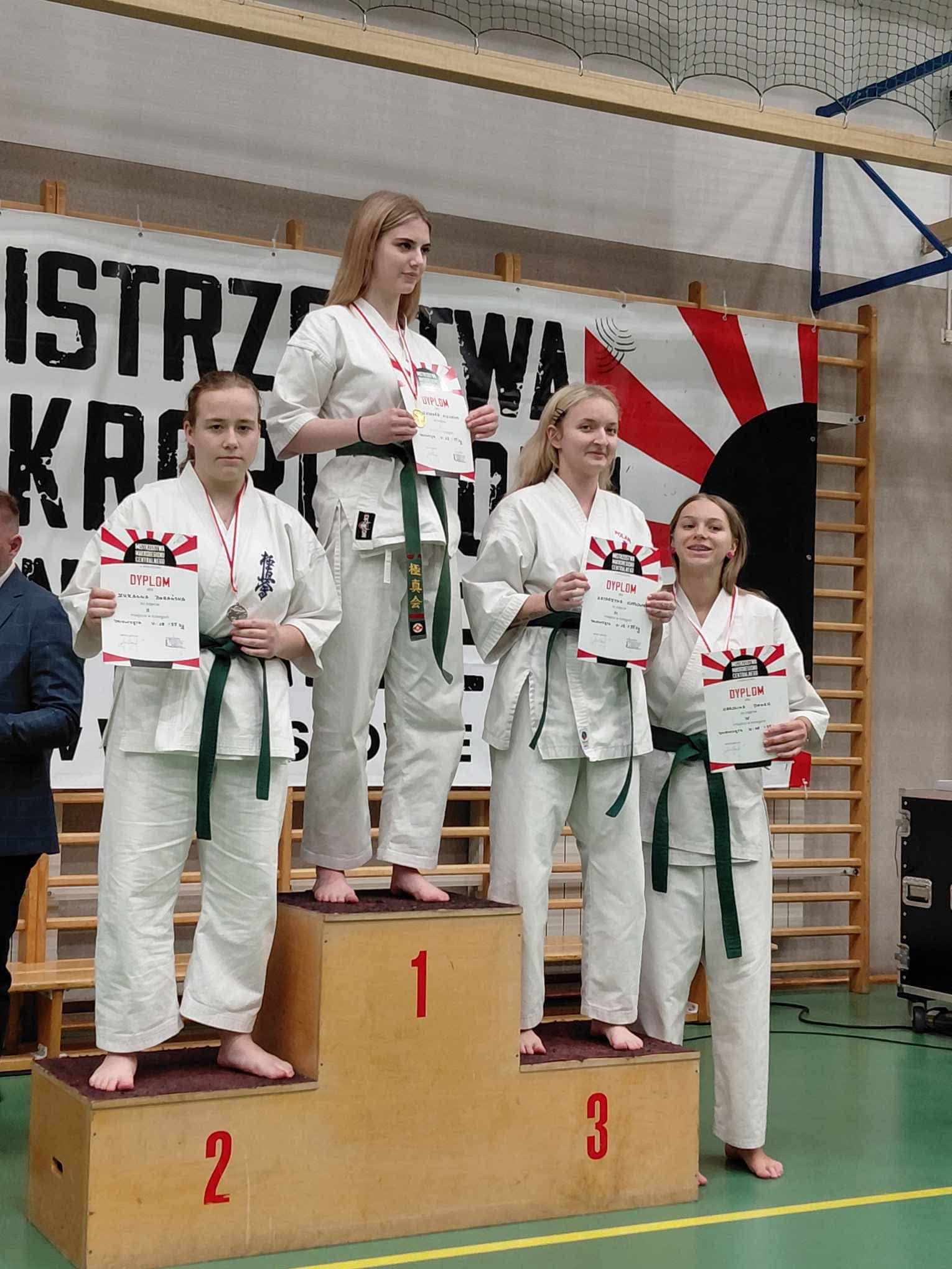 Jeleniogórska siła