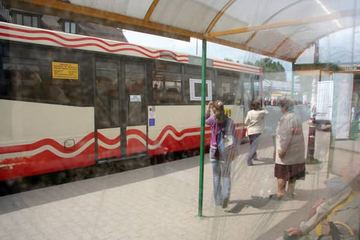 Jelczem po mieście