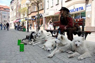 Ulica da zarobić