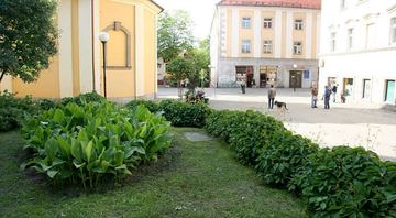 Przestępstwa na zielono