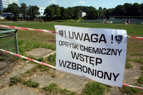 Boiskowa kosmetyka