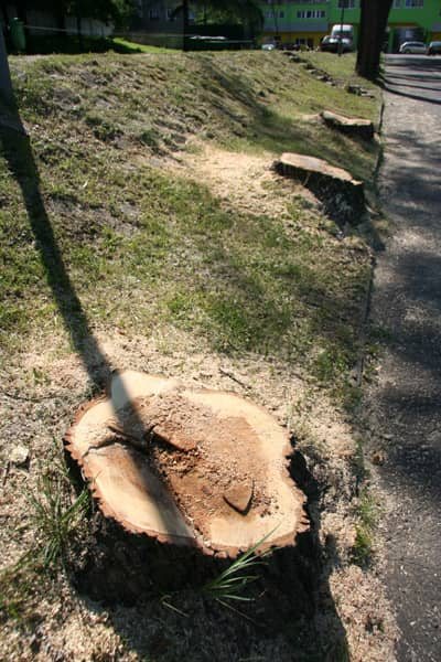 Boiskowa kosmetyka