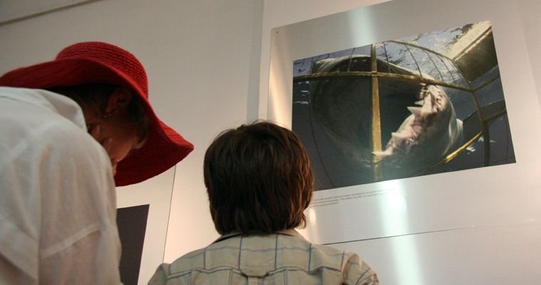 Wernisaż zgromadził wielu miłośników znakomitej fotografii.