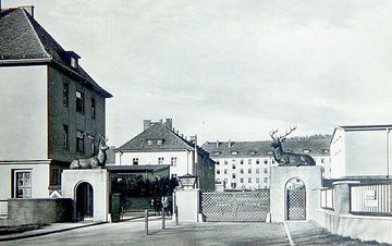 Bitwa o rogacze