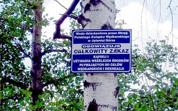 Dzikie wody pod lupą