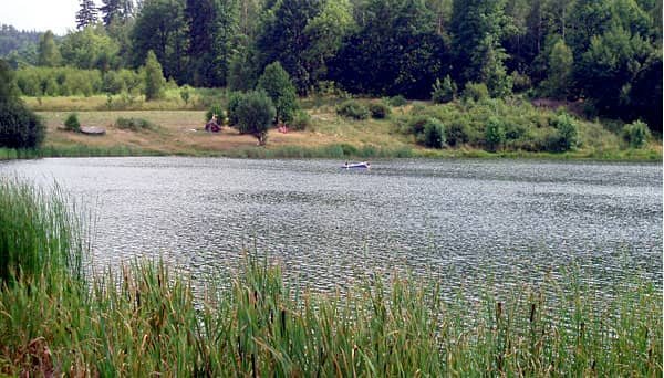 Dzikie wody pod lupą