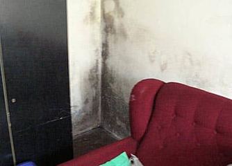 Wojna z grzybem
