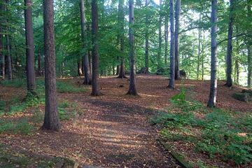 Park pełen sekretów