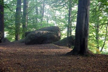 Park pełen sekretów