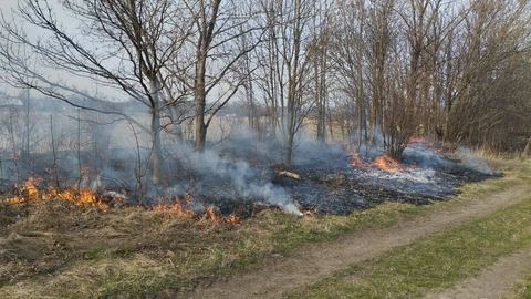 Pożar trawy w Ścięgnach