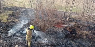 Pożar trawy w Ścięgnach