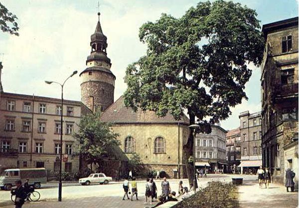 To samo miejsce 20 lat później: widać, jak wiele ubyło drzew.