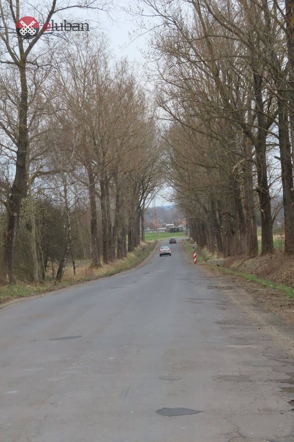 Kierowca miał "furę szczęścia", oszukując przeznaczenie