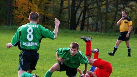 Odrodzony Piast