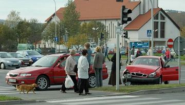 Jesienne "dzwony"