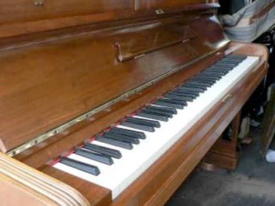 Instrument zabezpieczyła straż graniczna.