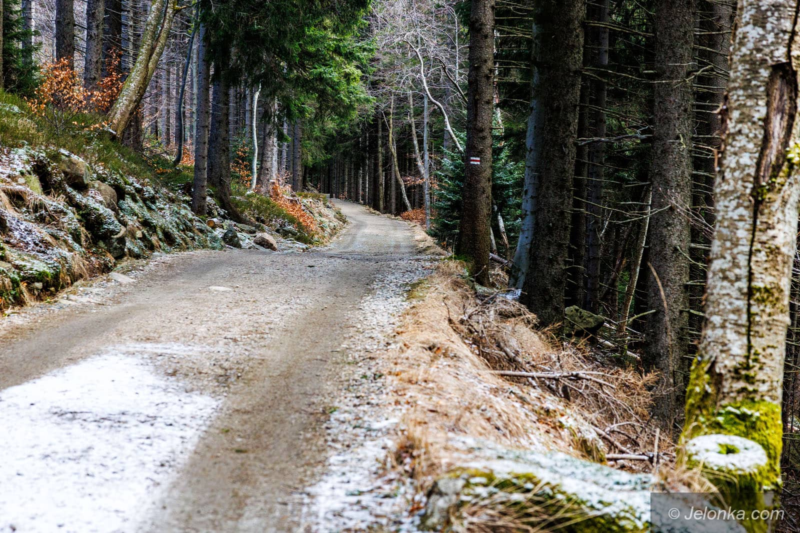Schronisko PTTK Nad Łomniczką znów otwarte! Po 5 latach wraca na szlak pod Śnieżką