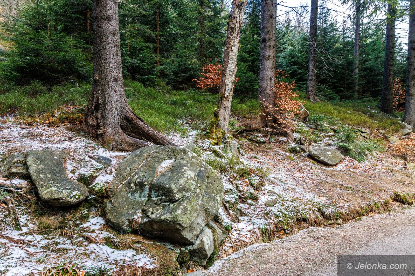 Schronisko PTTK Nad Łomniczką znów otwarte! Po 5 latach wraca na szlak pod Śnieżką