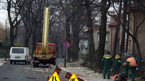 Przy wycince piesi i kierowcy powinni zachować ostrożność.