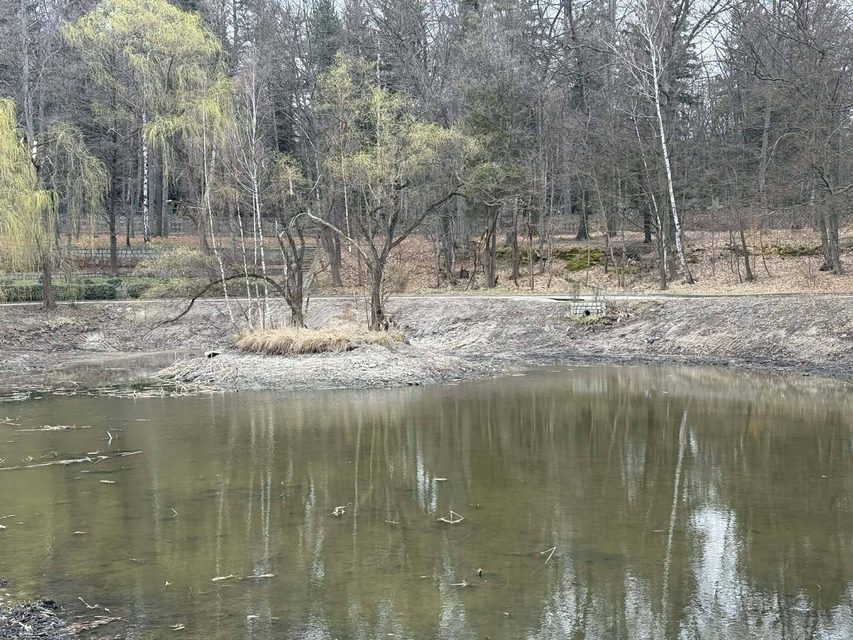 Park i staw w nowej odsłonie