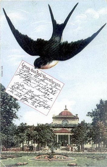 Pocztówek czar