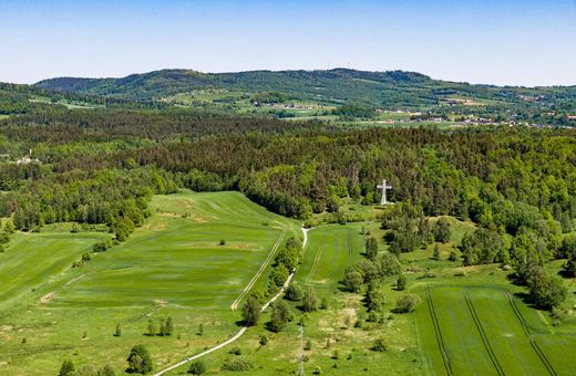Krzyż Milenijny – od jubileuszu do codziennych spacerów