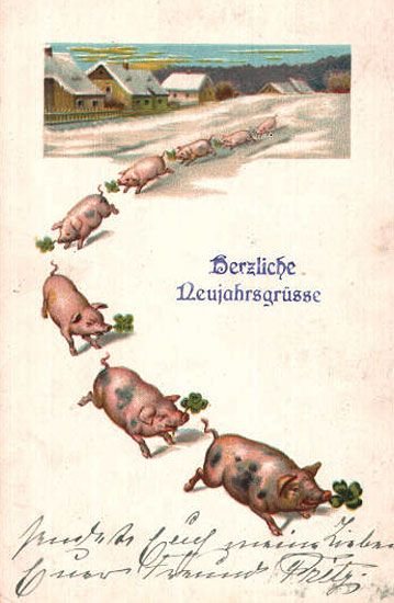 Podkładali świnię pod choinkę