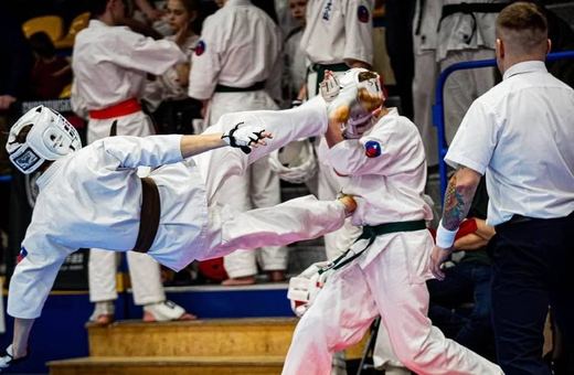 Efektowne kopnięcia dały 16 medali