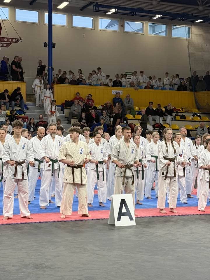 Efektowne kopnięcia dały 16 medali
