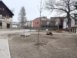 Spacery przy Zameczku już niedługo