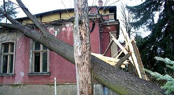 Wrócą wichury