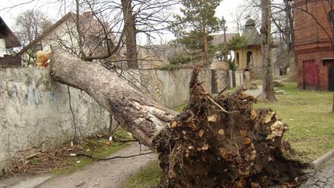 Nasza mini galeria częściowo ilustruje szkody wyrządzone przez wicher wiejący z prędkością 119 km/h. Na Śnieżce huragan szalał w porywach do ponad 200 km/h.