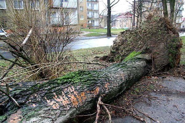 Wciąż usuwają skutki wichury