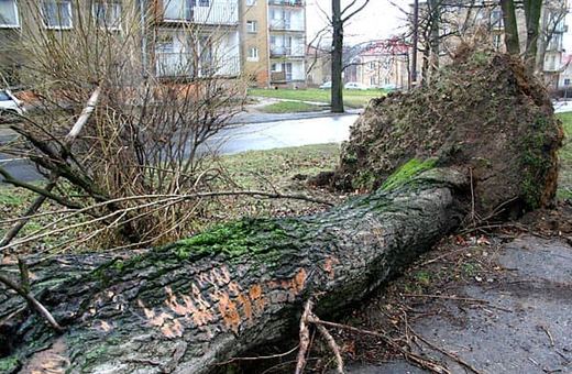 Wciąż usuwają skutki wichury